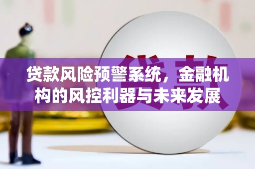 天峨贷款风险预警系统，金融机构的风控利器与未来发展