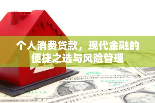 天峨个人消费贷款，现代金融的便捷之选与风险管理