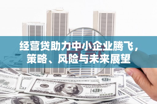天峨经营贷助力中小企业腾飞，策略、风险与未来展望