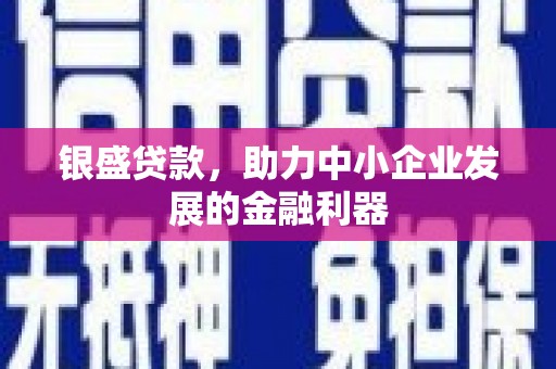 天峨银盛贷款，助力中小企业发展的金融利器