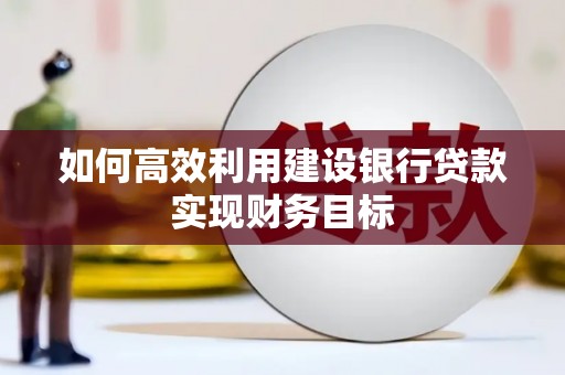 天峨如何高效利用建设银行贷款实现财务目标