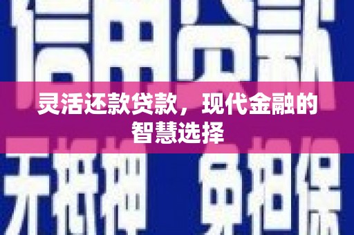 天峨灵活还款贷款，现代金融的智慧选择