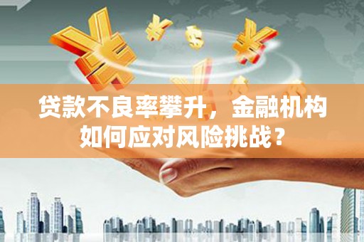 天峨贷款不良率攀升，金融机构如何应对风险挑战？