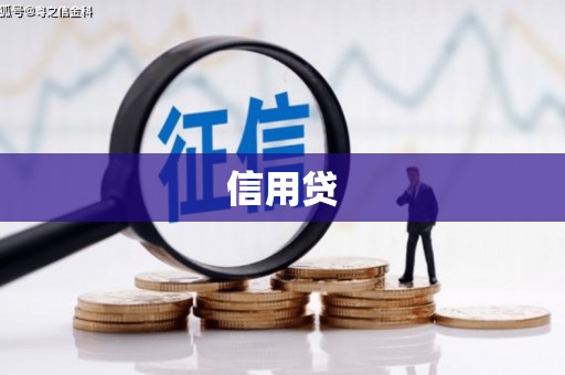 天峨信用贷