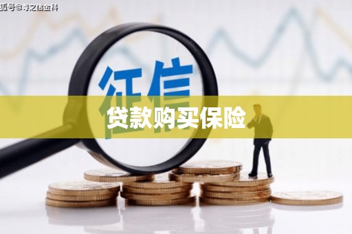 天峨贷款购买保险