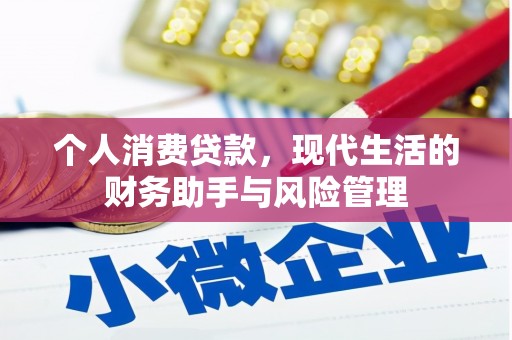 天峨个人消费贷款，现代生活的财务助手与风险管理