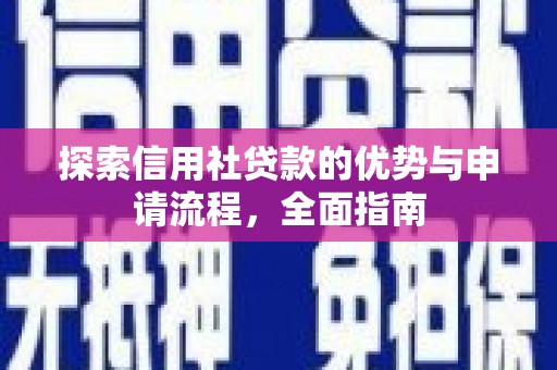 天峨探索信用社贷款的优势与申请流程，全面指南