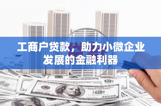 天峨工商户贷款，助力小微企业发展的金融利器