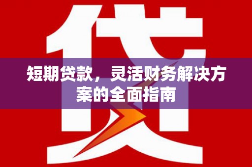 天峨短期贷款，灵活财务解决方案的全面指南