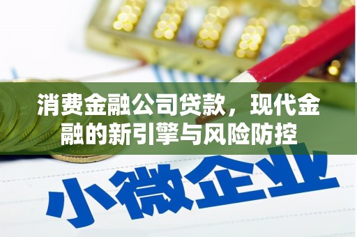 天峨消费金融公司贷款，现代金融的新引擎与风险防控