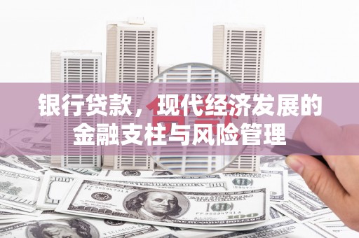 天峨银行贷款，现代经济发展的金融支柱与风险管理