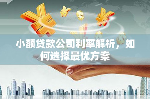 天峨小额贷款公司利率解析，如何选择最优方案