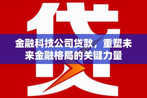天峨金融科技公司贷款，重塑未来金融格局的关键力量