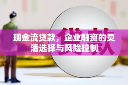 天峨现金流贷款，企业融资的灵活选择与风险控制