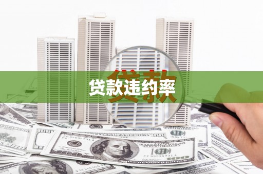 天峨贷款违约率