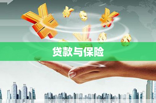 天峨贷款与保险