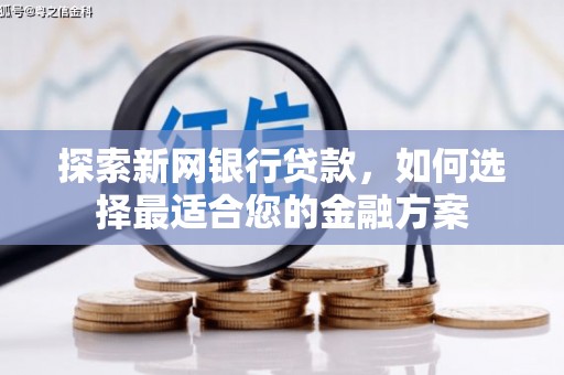 天峨探索新网银行贷款，如何选择最适合您的金融方案