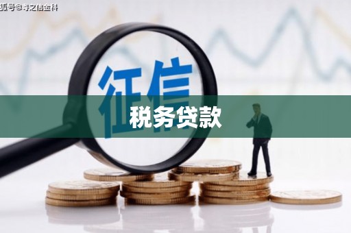 天峨税务贷款
