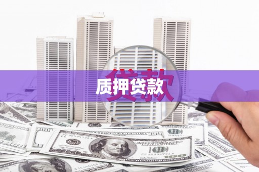 天峨质押贷款