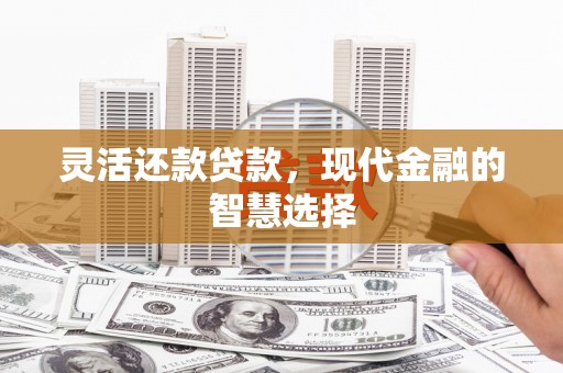 天峨灵活还款贷款，现代金融的智慧选择