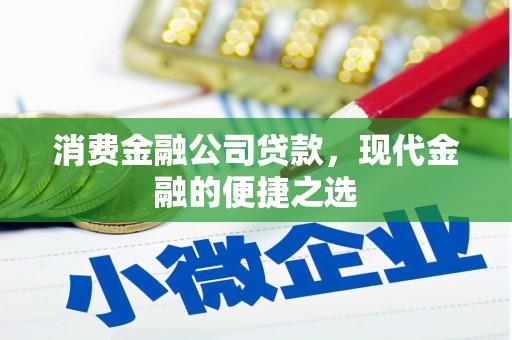 天峨消费金融公司贷款，现代金融的便捷之选