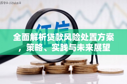 天峨全面解析贷款风险处置方案，策略、实践与未来展望