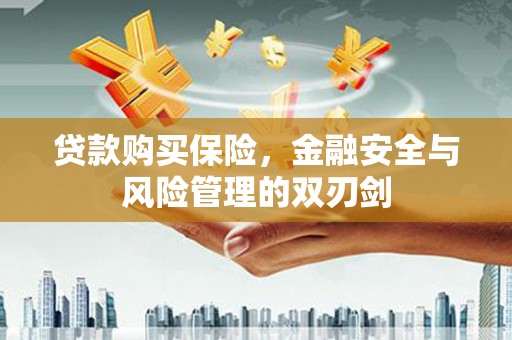 天峨贷款购买保险，金融安全与风险管理的双刃剑