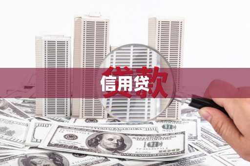 天峨信用贷