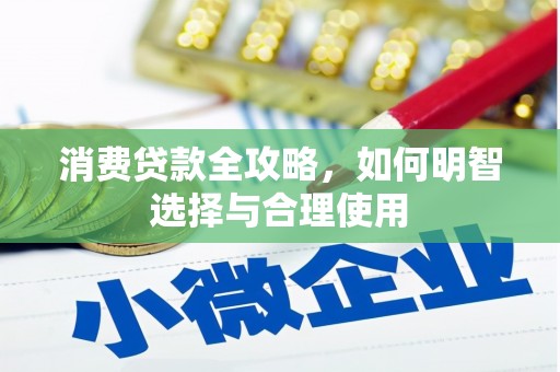 天峨消费贷款全攻略，如何明智选择与合理使用