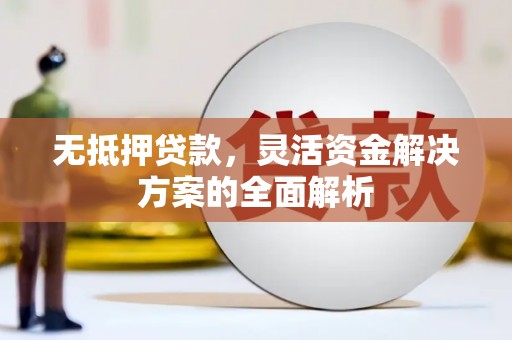 天峨无抵押贷款，灵活资金解决方案的全面解析