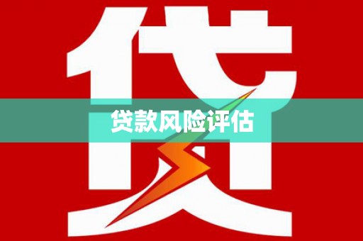天峨贷款风险评估
