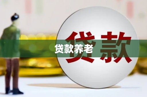 天峨贷款养老