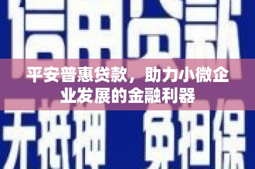 天峨平安普惠贷款，助力小微企业发展的金融利器