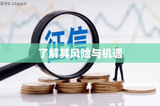 天峨了解其风险与机遇