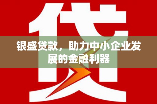 天峨银盛贷款，助力中小企业发展的金融利器