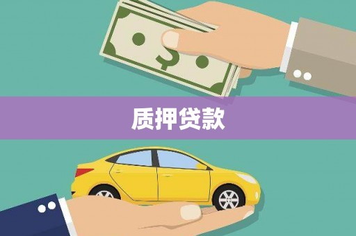 天峨质押贷款