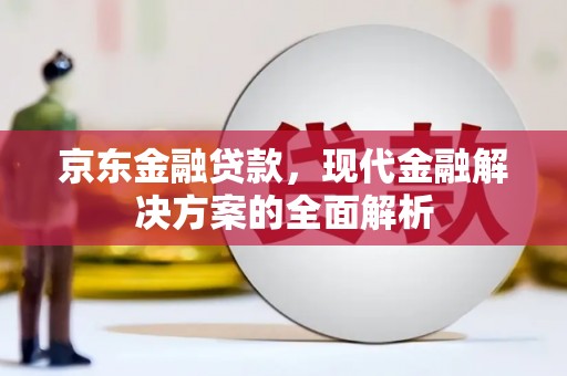 天峨京东金融贷款，现代金融解决方案的全面解析