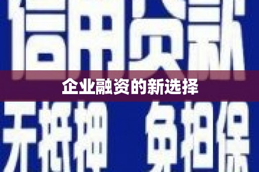 天峨企业融资的新选择
