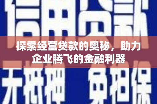 天峨探索经营贷款的奥秘，助力企业腾飞的金融利器