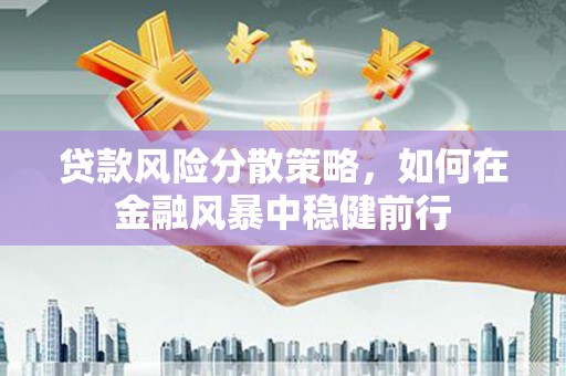 天峨贷款风险分散策略，如何在金融风暴中稳健前行