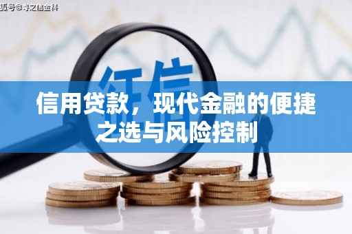 天峨信用贷款，现代金融的便捷之选与风险控制