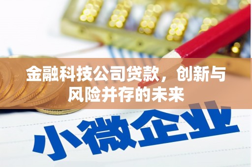 天峨金融科技公司贷款，创新与风险并存的未来