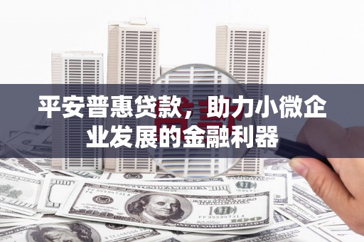 天峨平安普惠贷款，助力小微企业发展的金融利器