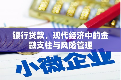 天峨银行贷款，现代经济中的金融支柱与风险管理