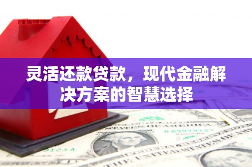 天峨灵活还款贷款，现代金融解决方案的智慧选择