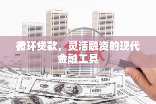天峨循环贷款，灵活融资的现代金融工具