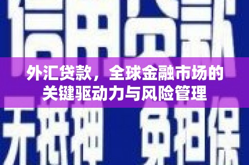 天峨外汇贷款，全球金融市场的关键驱动力与风险管理