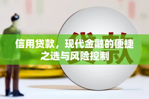 天峨信用贷款，现代金融的便捷之选与风险控制