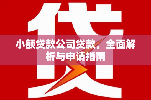 天峨小额贷款公司贷款，全面解析与申请指南