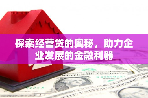 天峨探索经营贷的奥秘，助力企业发展的金融利器